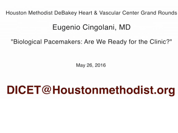 Biological Pacemakers: Are We Ready for the Clinic?