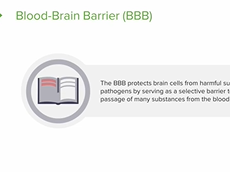 Blood Flow to the Brain and Blood