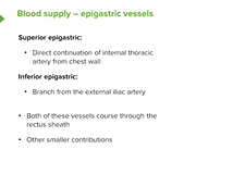 Blood Supply of the Abdominal Wall - Anatomy Blood Supply of the Abdominal Wall - Anatomy