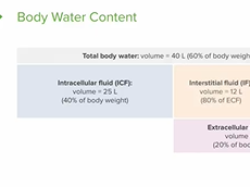 Body Fluids and Fluid Compartments