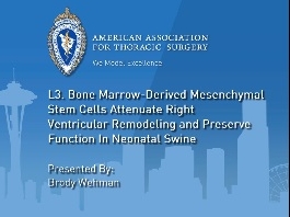 Les cellules souches mésenchymateuses dérivées de la moelle osseuse atténuent le remodelage ventriculaire droit et préservent la fonction néonatale chez le porc Les cellules souches mésenchymateuses dérivées de la moelle osseuse atténuent le remodelage ventriculaire droit et préservent la fonction néonatale chez le porc