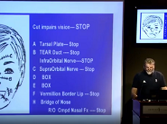 Boxing Injuries is All in the Head Boxing Injuries is All in the Head