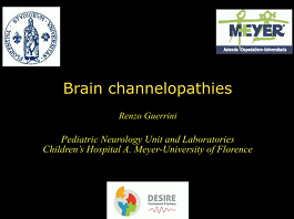 Brain channelopathies