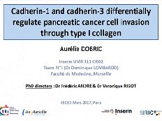 Cadherin-1 and cadherin-3 differentially regulate pancreatic cancer cell invasion through type I collagen