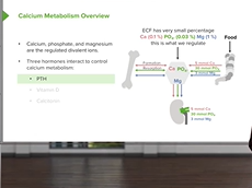Calcium Metabolism Disorders: Overview & Regulation Calcium Metabolism Disorders: Overview & Regulation
