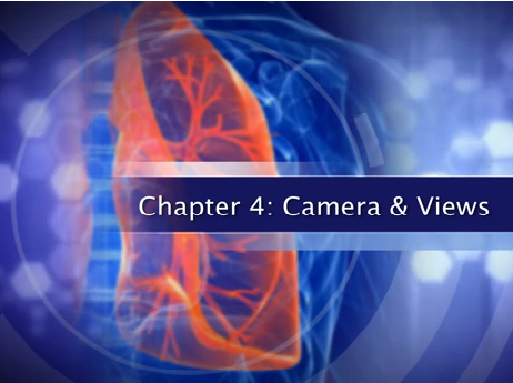 Caméra et vues - L'atlas du Dr Todd Demmy - lobectomie thoracoscopique