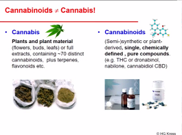 Cannabinoids in the Treatment of Cancer Pain
