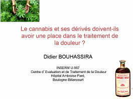 Cannabis dans la douleur : controverse Cannabis dans la douleur : controverse