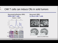 CAR T cells CAR T cells