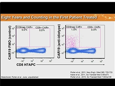 CAR T Immunotherapies-Engineering Cell Fitness: TET2-disrupted CAR T cells