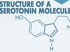 Carcinoid Syndrome and Serotonin