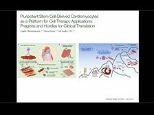 Cardiac Regeneration - Amit Patel