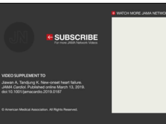 Cardiac Ultrasonogram Showing Apical 2 Chamber View