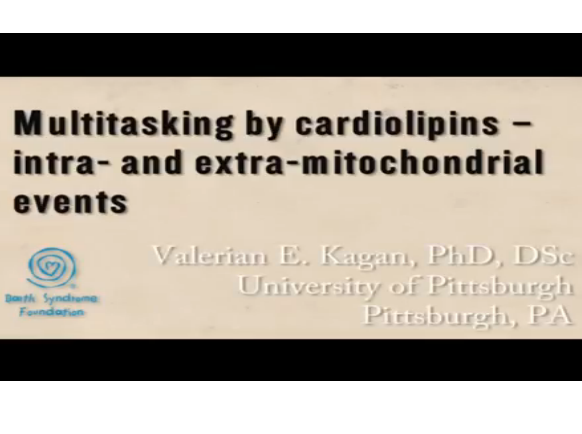 Cardiolipin and Barth Syndrome