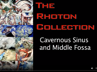 Cavernous Sinus and Middle Fossa (3D) - Part 1 of 2 Cavernous Sinus and Middle Fossa (3D) - Part 1 of 2