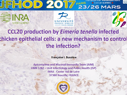 CCL20 production by Eimeria tenella infected chicken epithelial cells: a new mechanism to control the infection?