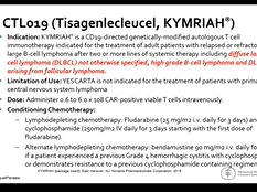 CD19 CAR T cells in lymphoid malignancies  2018 Update