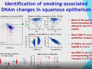 Cell-type heterogeneity and systems epigenomics of cancer