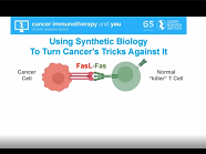 Cellular Immunotherapies: Revving Up T Cells to Fight Cancer, with Philip Greenberg, M.D. Cellular Immunotherapies: Revving Up T Cells to Fight Cancer, with Philip Greenberg, M.D.