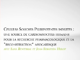 Cellules souches pluripotentes induites