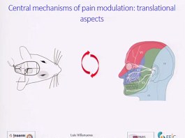 Central mechanisms of pain modulation: translational aspects Central mechanisms of pain modulation: translational aspects