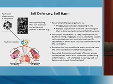 CF Foundation | VLC 2018: Advances Toward Treating CF Complications, Round 1