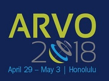 Champalimaud Vision Award Lecture