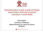 Characterization of early events of SIVagm dissemination following intrarectal inoculation in adult AGMs Characterization of early events of SIVagm dissemination following intrarectal inoculation in adult AGMs