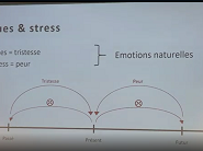Chassez le stress et le blues ! (3/4)