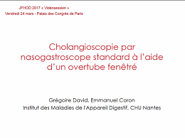 Cholangioscopie par nasofibroscope standard à l'aide d'un overtube fenêtré