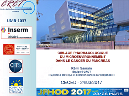 Ciblage pharmacologique des fibroblastes associés au cancer du pancréas