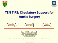 Circulatory support for aortic surgery