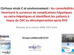 Cirrhose virale C et environnement : les comorbidités favorisent la survenue de complications hépatiques ou extra-hépatiques et identifient les patients à risque de CHC ou décompensation après RVS