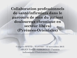 Collaboration Professionnels De Santé/Infirmiers Dans Le Parcours De Soin Du Patient Douloureux Chronique En Secteur Libéral (Pyrénées Orientales)