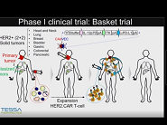 Combination Local Oncolytic Adenoimmunotherapy and Systemic CAR T-cell Therapies for Solid Tumors Combination Local Oncolytic Adenoimmunotherapy and Systemic CAR T-cell Therapies for Solid Tumors