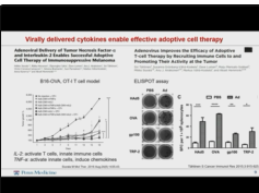 Combination Oncolytic Viral and Cellular Therapies to Improve Solid Tumor CART Efficacy Combination Oncolytic Viral and Cellular Therapies to Improve Solid Tumor CART Efficacy