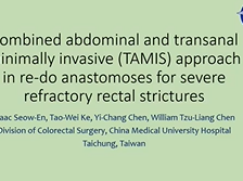 Combined abdominal and TAMIS approach in re-do anastomoses for severe refractory rectal strictures Combined abdominal and TAMIS approach in re-do anastomoses for severe refractory rectal strictures