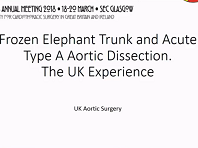 Complex elephant trunk and branch grafts for arch disease