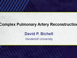 Complex Pulmonary Artery Reconstruction