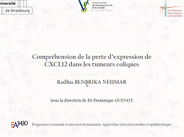 CO030 - Compréhension de la perte d'expression de CXCL12 dans les tumeurs coliques CO030 - Compréhension de la perte d'expression de CXCL12 dans les tumeurs coliques