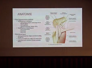 Conduites à tenir devant des lésions isolées du ligament collatéral médial du genou Conduites à tenir devant des lésions isolées du ligament collatéral médial du genou