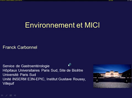 Conférence : Environnement et MICI