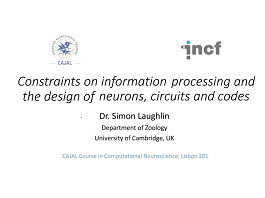 Constraints on information processing