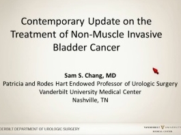 Actualités sur le traitement contemporain du cancer non-invasif de la vessie