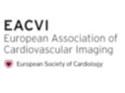 Contrast-enhanced stress echo in patients with chest pain: clinical effectiveness & cost efficiency Contrast-enhanced stress echo in patients with chest pain: clinical effectiveness & cost efficiency