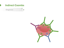 Coombs Tests: Direct & Indirect Coombs - Pediatric Hematology