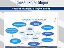 COVID-19 en Afrique: la tempête amortie ? - Pr. Souleymane Mboup COVID-19 en Afrique: la tempête amortie ? - Pr. Souleymane Mboup