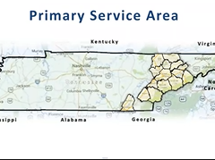 COVID-19 & Telehealth Implementation: Stories from the Field COVID-19 & Telehealth Implementation: Stories from the Field