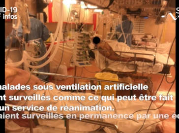 Covid-19 : transfert par voie maritime de patients Covid+ Covid-19 : transfert par voie maritime de patients Covid+