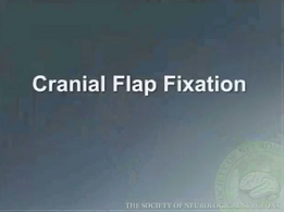 Cranial Flap Fixation